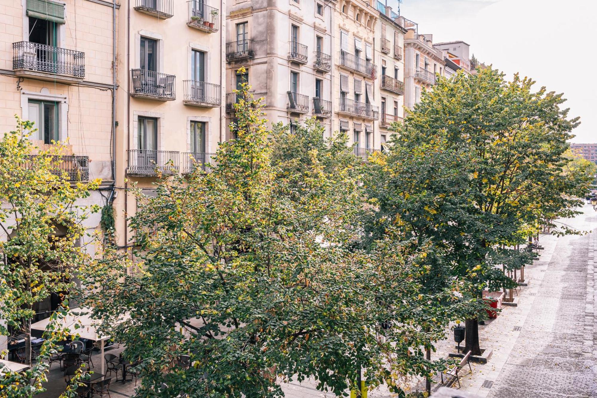 Apartment 3 Cipres